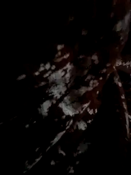 Snapshot of Couple_hot999 chatting on 03-04-26, 02:56 Couple hot999 online show from 03-04-26, 02:56