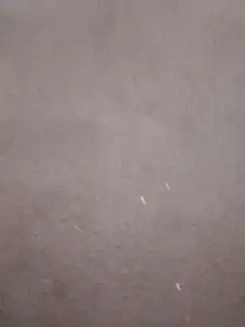 Snapshot of kavita-bhabhi-chut chatting on 03-09-26, 07:51 kavita-bhabhi-chut online show from 03-09-26, 07:51