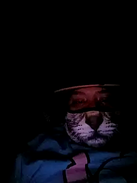 Snapshot of Charlygunslove chatting on 03-03-26, 01:34 Charlygunslove online show from 03-03-26, 01:34