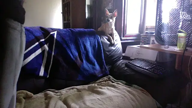 Snapshot of KinkyTOMan chatting on 06-10-26, 05:01 KinkyTOMan online show from 06-10-26, 05:01