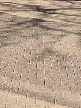 Snapshot of MarekPublicShow chatting on 03-06-26, 01:18 MarekPublicShow online show from 03-06-26, 01:18