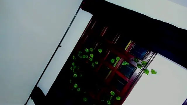 laaura dolll online show from 04-06-26, 05:30