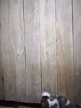 mylove-cute online show from 07-28-26, 12:23