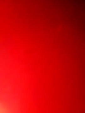 hobgkl online show from 03-13-26, 06:53