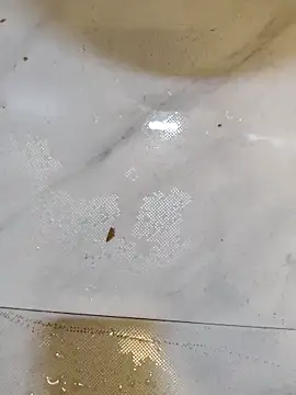 Splashyblackboard2 online show from 03-13-26, 08:15