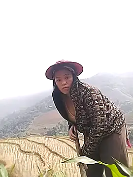 Min-in online show from 04-28-26, 02:38