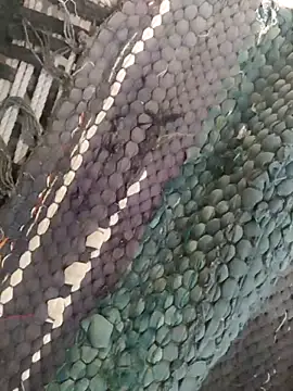 King night1 online show from 04-12-26, 01:21