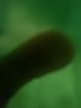 Snapshot of ffgffefgg chatting on 03-12-26, 12:39 ffgffefgg online show from 03-12-26, 12:39