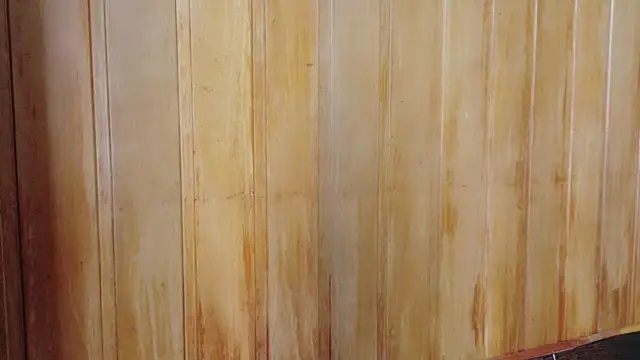 Snapshot of Eliffe_jhonson chatting on 03-16-26, 12:09 Eliffe jhonson online show from 03-16-26, 12:09