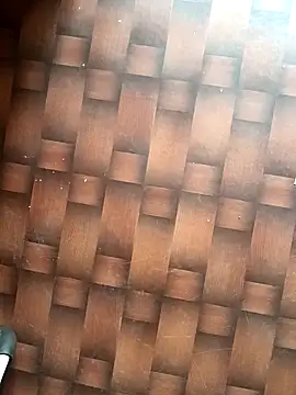 Dreamxii online show from 03-13-26, 06:31