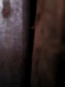 Any 120 online show from 04-26-26, 08:45