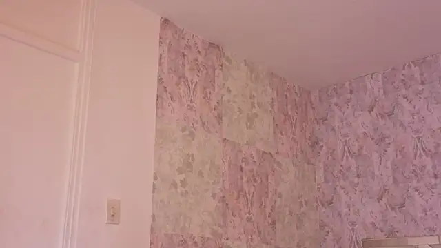 april summer  online show from 04-11-26, 08:24