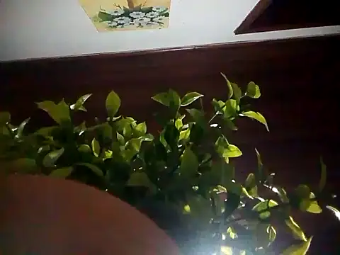 Snapshot of KikoKratos chatting on 07-06-26, 03:03 KikoKratos online show from 07-06-26, 03:03