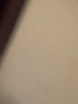 buivali00 online show from 03-15-26, 11:38