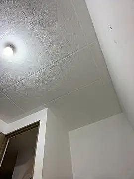 LauTul online show from 04-15-26, 04:25