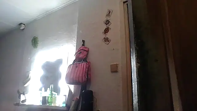Anna-Cash online show from 05-02-26, 08:30
