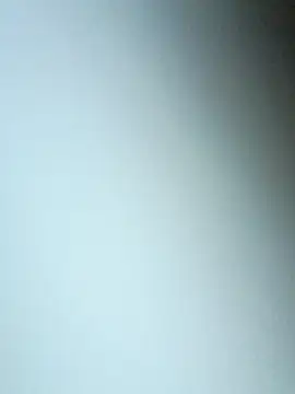 bojo888 online show from 03-19-26, 09:08