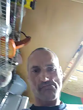 Brunogramata online show from 03-20-26, 03:44