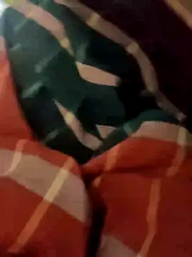 DeshiTiger online show from 04-14-26, 08:09