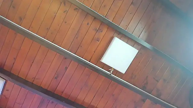 celestte sm online show from 04-24-26, 07:49