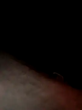 dannyboy8in online show from 03-24-26, 05:34