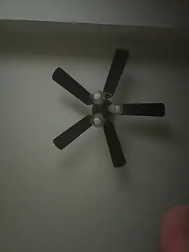 whitelioncody online show from 04-17-26, 07:00