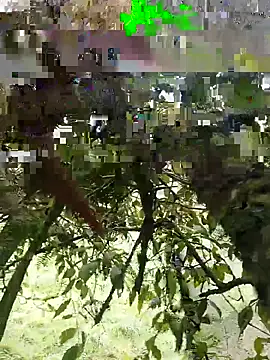 xjkedv online show from 06-06-26, 06:45