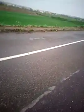 Snapshot of alicancetin11 chatting on 04-02-26, 08:23 alicancetin11 online show from 04-02-26, 08:23