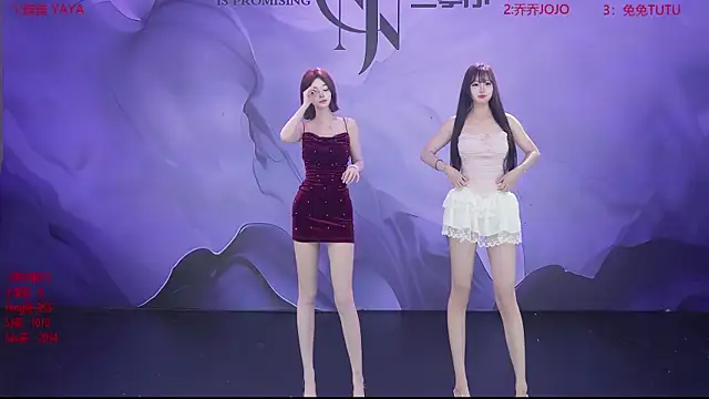 Snapshot of YSL-007 chatting on 04-07-26, 01:11 YSL-007 online show from 04-07-26, 01:11