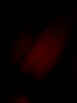 Eivar003 online show from 04-03-26, 04:54