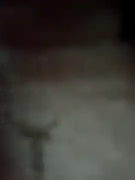 Datachange online show from 04-03-26, 03:21