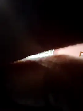 doggy69-dog online show from 04-05-26, 09:28