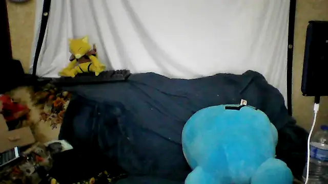 BriTheTopBear online show from 04-21-26, 02:51