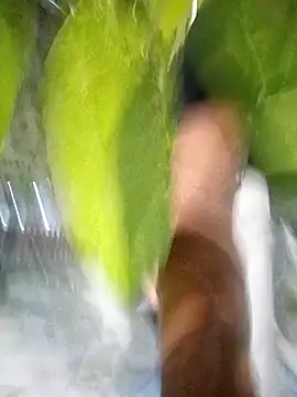 hot-daring online show from 04-14-26, 05:35