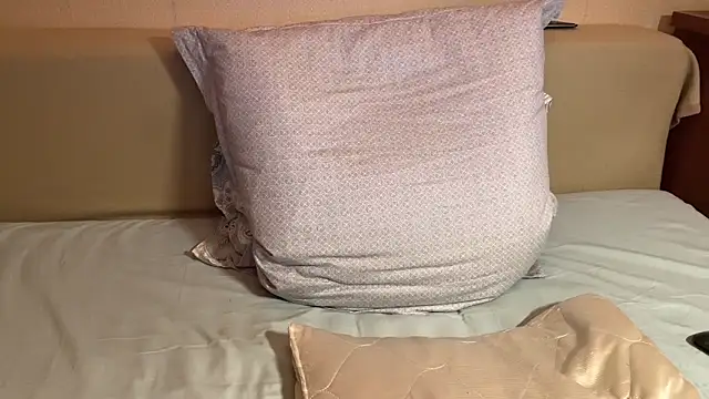 havedream online show from 04-20-26, 10:40