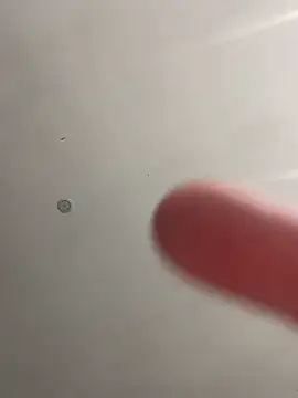 didine179 online show from 04-27-26, 07:56