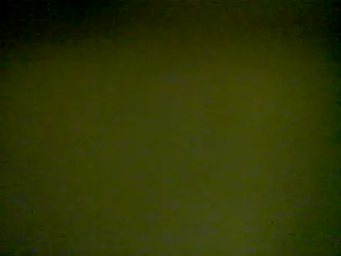 Snapshot of LunjeSA chatting on 06-04-26, 08:31 LunjeSA online show from 06-04-26, 08:31