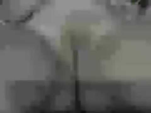 mamilaye online show from 04-24-26, 06:32