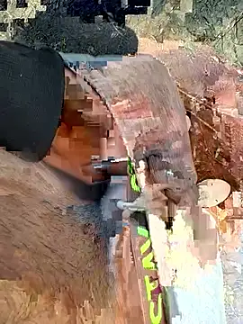 Wolf 18cm online show from 04-28-26, 02:22