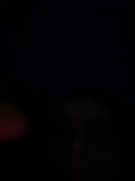 eu marko online show from 04-30-26, 05:08