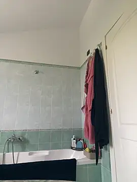 phoenix86 online show from 04-28-26, 04:34