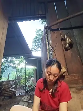 Jinli 01 online show from 07-24-26, 11:52