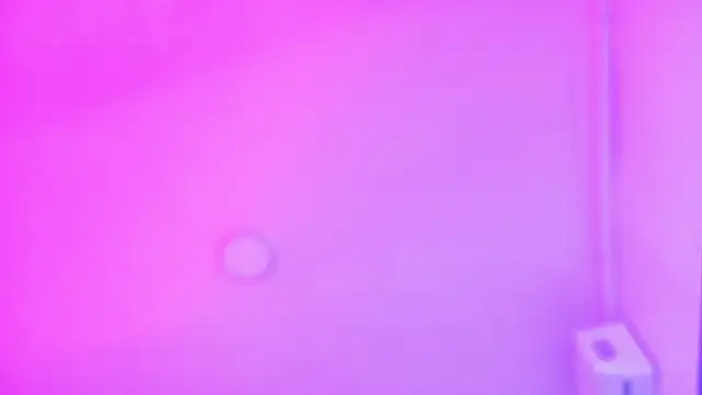 LexaDominant   online show from 07-16-26, 09:48