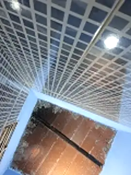 paulinam online show from 05-23-26, 12:53