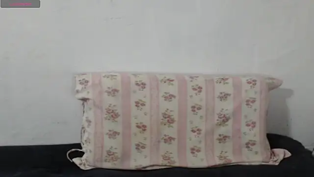 Snapshot of Brun3tt3n chatting on 09-19-25, 03:41 Brun3tt3n online show from 09-19-25, 03:41