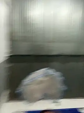 babyy pervert online show from 05-31-26, 03:15