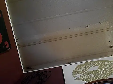 NutNmyGUTdaddy online show from 05-15-26, 12:56