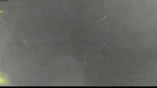 justin lenox online show from 06-01-26, 12:01