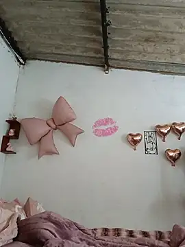 mileidy0106 online show from 07-04-26, 01:39