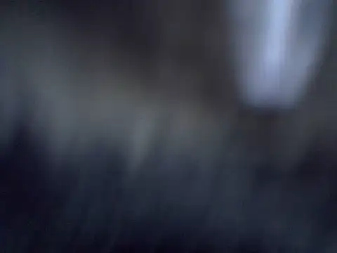 Snapshot of cutiebreey chatting on 06-23-26, 12:52 cutiebreey online show from 06-23-26, 12:52